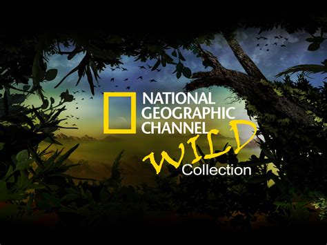 wild chanel|national geographic wild channel schedule.